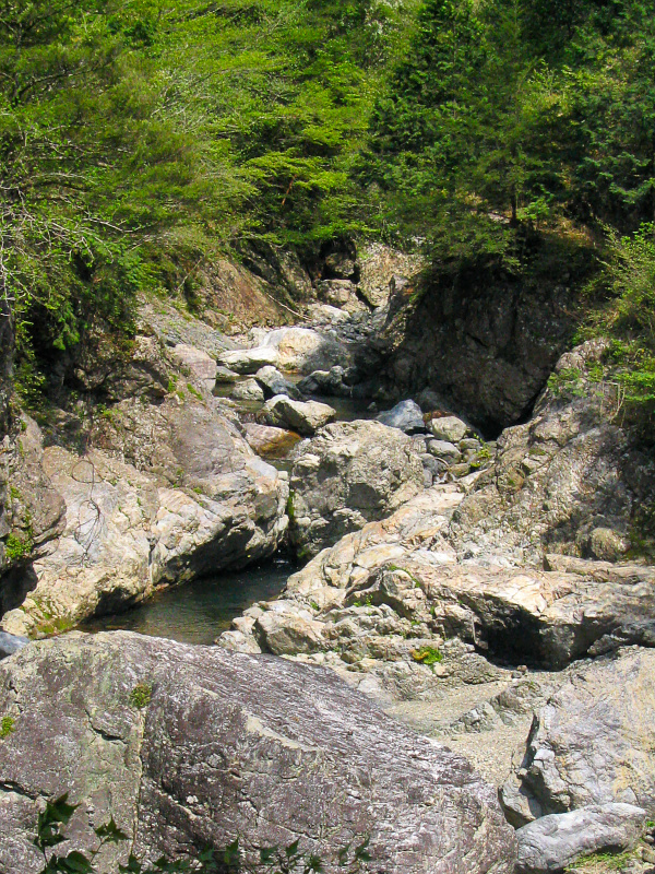 川上本沢川