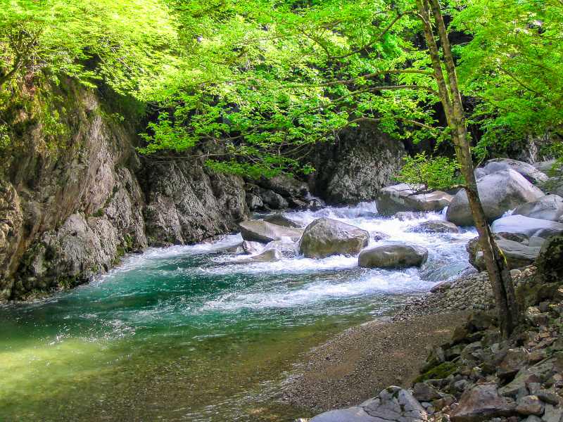 滝川
