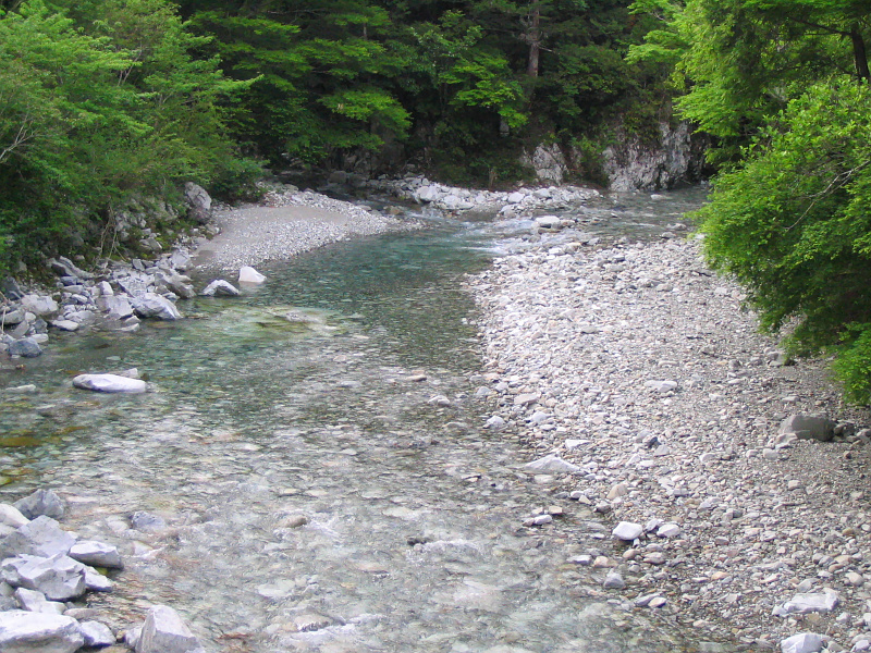 古座川上流