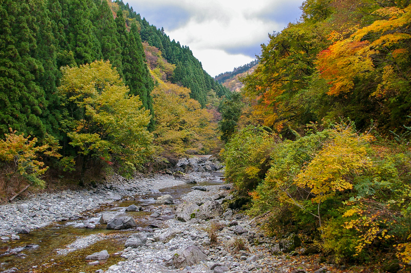舟ノ川紅葉