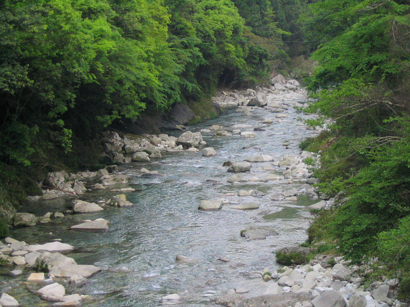 古座川上流