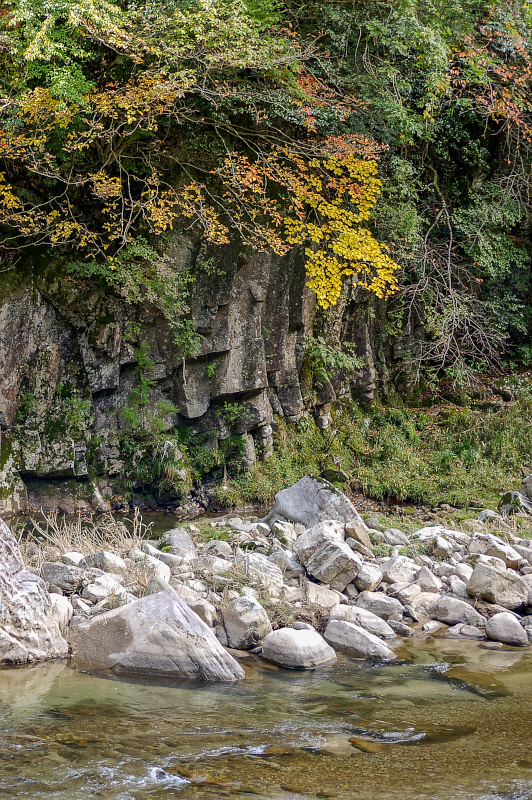 青蓮寺川
