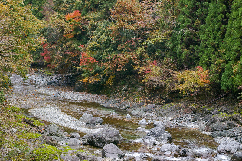 舟ノ川紅葉