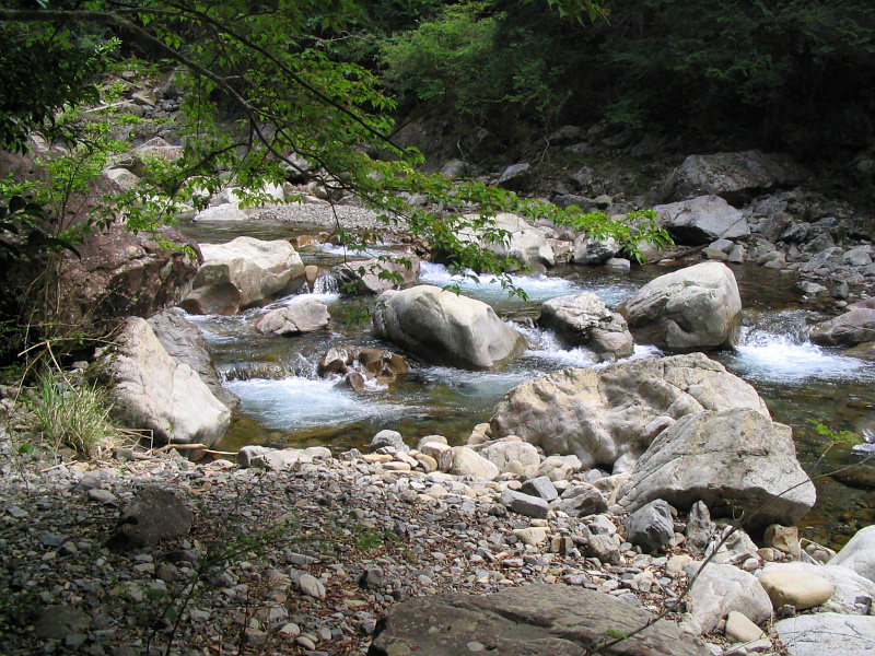 富田川上流部