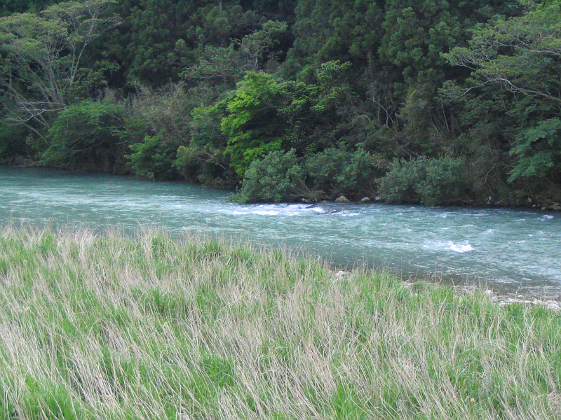 古座川本流