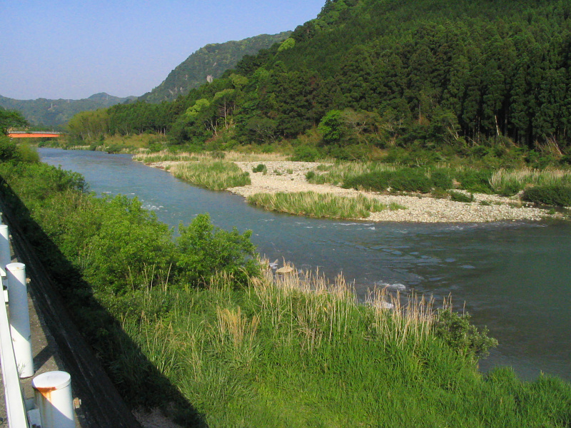 古座川本流
