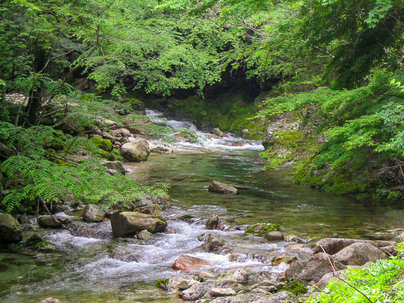 西の川