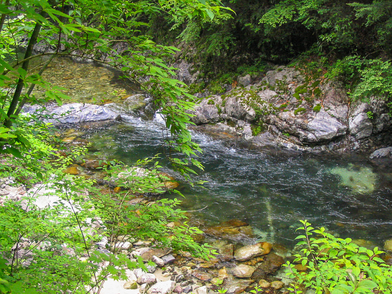 下北山前鬼川