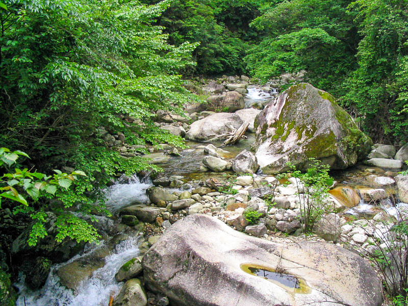 下北山前鬼川