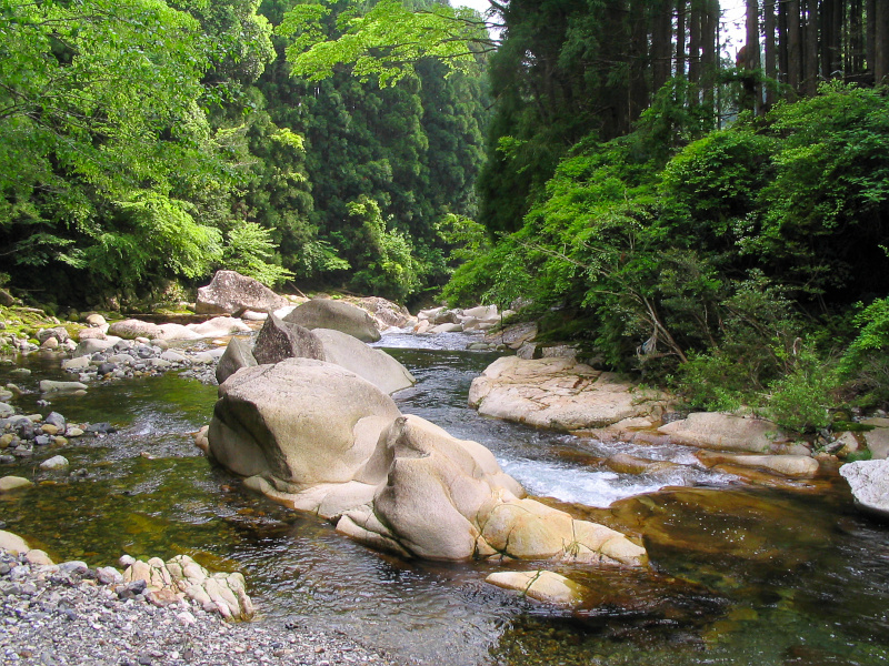 大野川