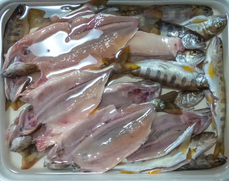 アマゴの干物